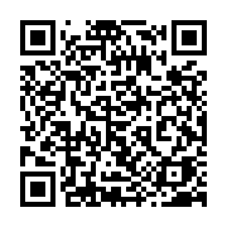 QR code for 294MSA