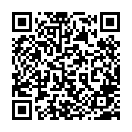 QR code for 294PLV