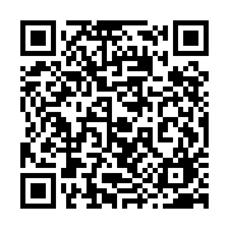 QR code for 295AAG