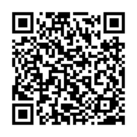 QR code for 295BZI