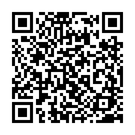 QR code for 295CNK