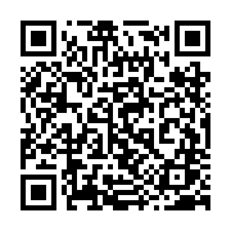 QR code for 295CNS