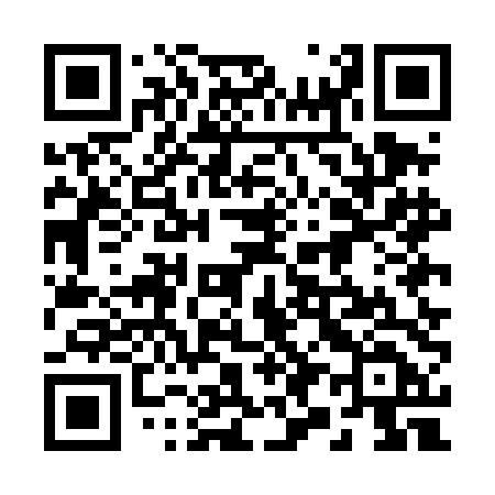 QR code for 295DDD