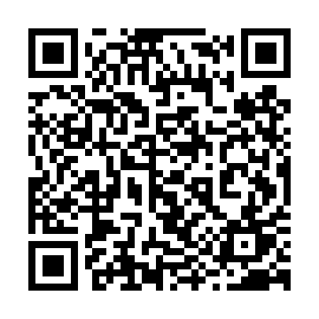 QR code for 295DQT