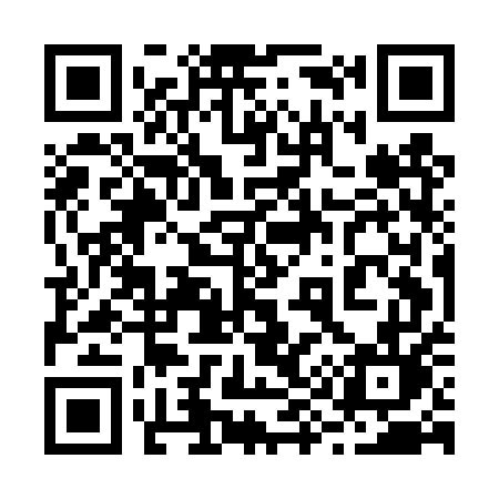 QR code for 295DUL