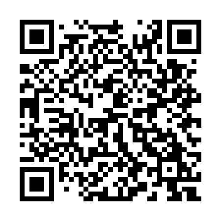 QR code for 295ERO