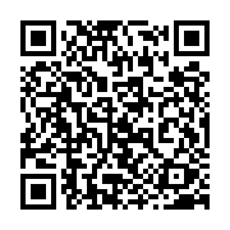 QR code for 295EZY