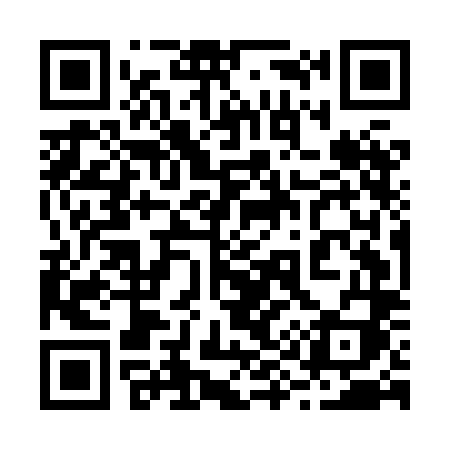 QR code for 295HLI