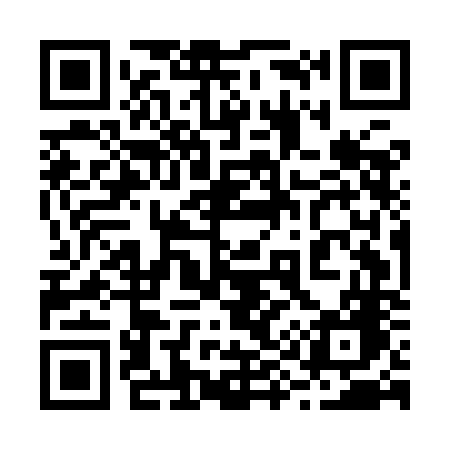 QR code for 295ING