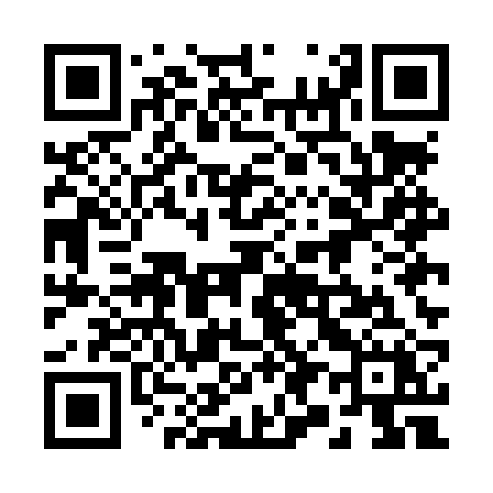 QR code for 295LRX