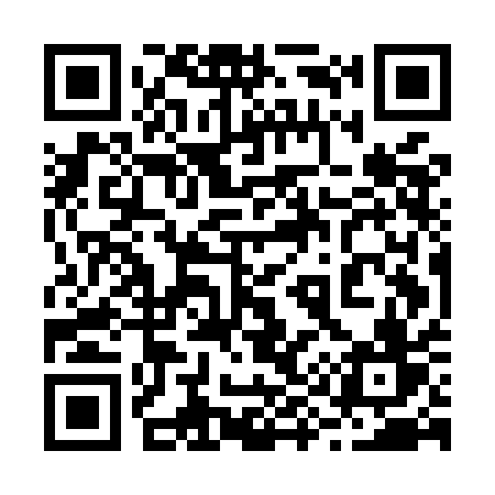 QR code for 295MAV