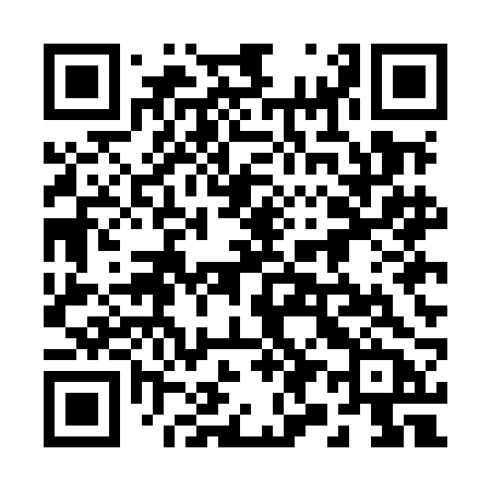 QR code for 295MBB