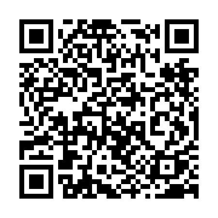 QR code for 295NAQ