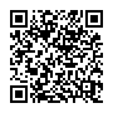 QR code for 295OBT