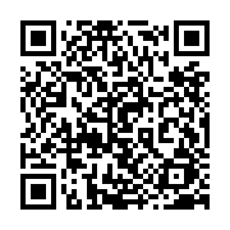 QR code for 295OJJ