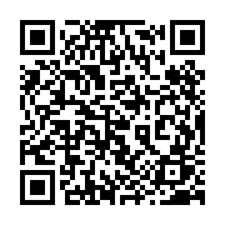 QR code for 295PGR