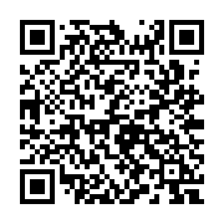QR code for 295QEI