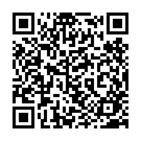 QR code for 295THO
