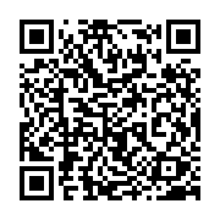 QR code for 295XRY