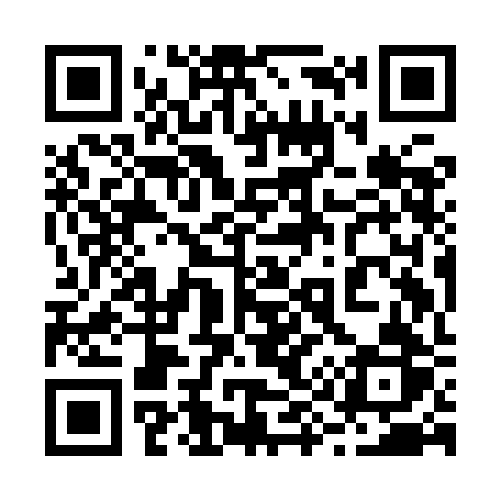 QR code for 299IBR
