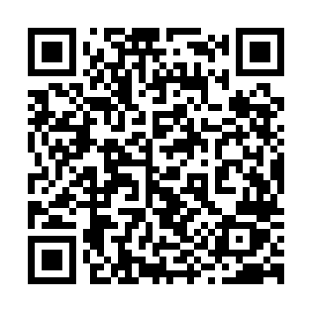 QR code for 299QLZ
