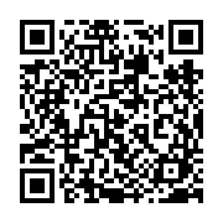 QR code for 299VDM