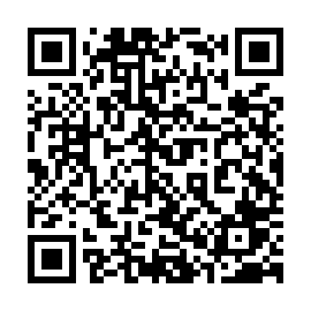 QR code for 302MPV