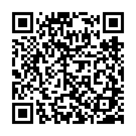 QR code for 307FLI
