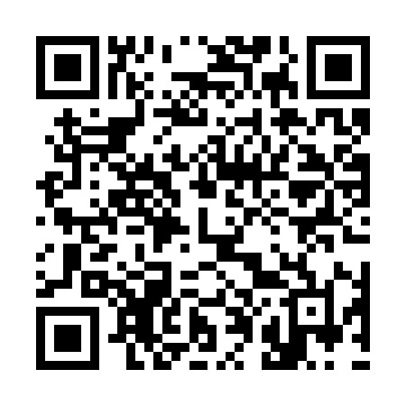 QR code for 308SYL