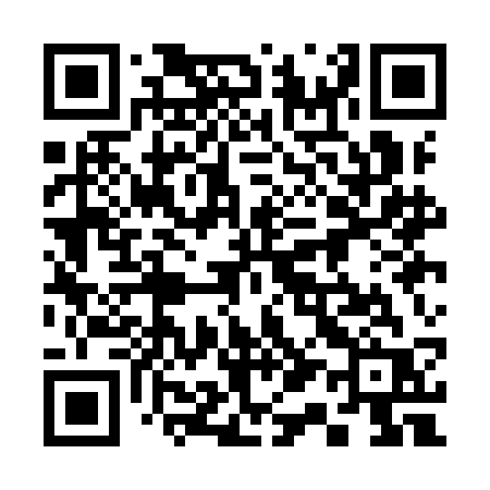 QR code for 311ICR