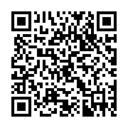 QR code for 311IPN