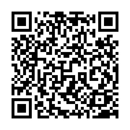 QR code for 311LSP