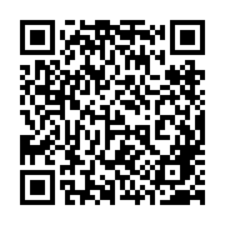 QR code for 311RLG