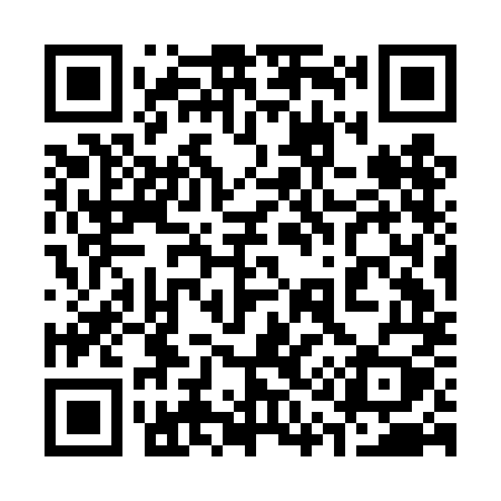 QR code for 313DMY