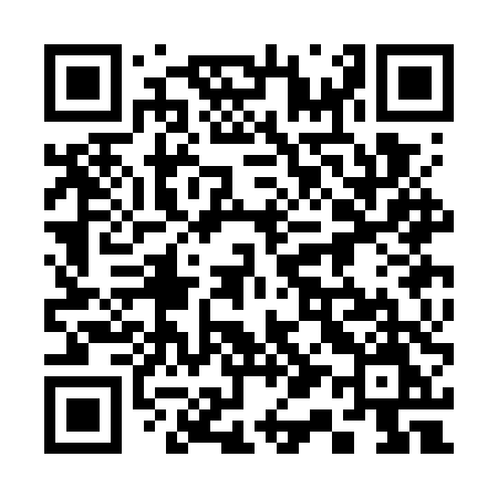 QR code for 313GTM