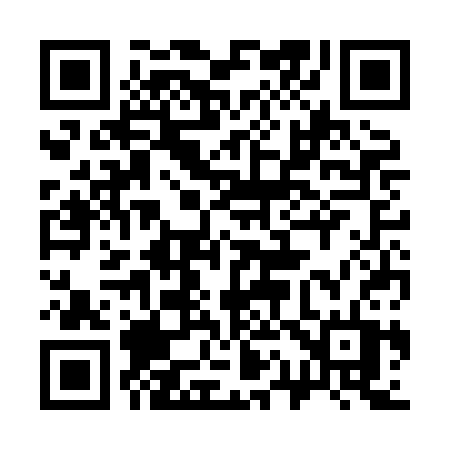 QR code for 313HCT
