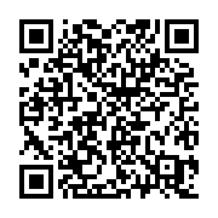 QR code for 313HHA