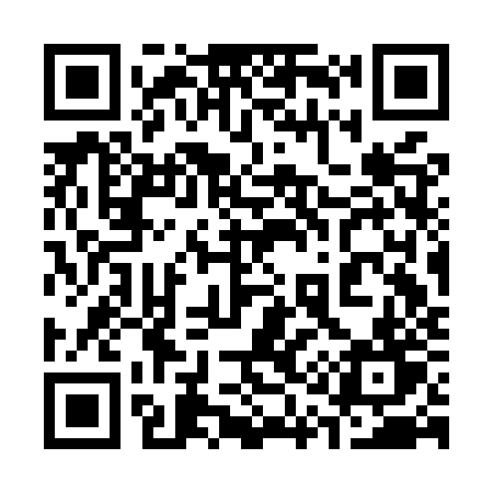QR code for 313MZT