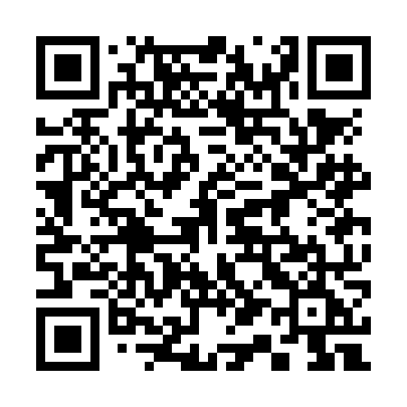 QR code for 313NNE
