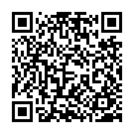 QR code for 313NZT