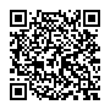 QR code for 313PSJ