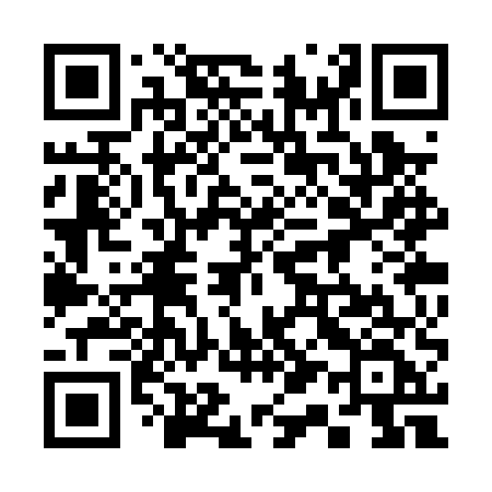 QR code for 313PUF
