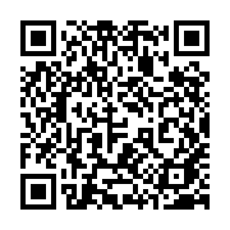 QR code for 313QHA
