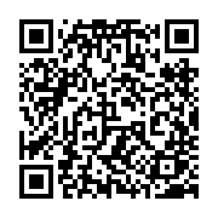 QR code for 313RNP
