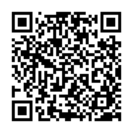 QR code for 313SIB