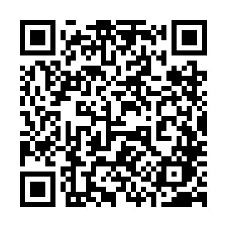 QR code for 313SLO