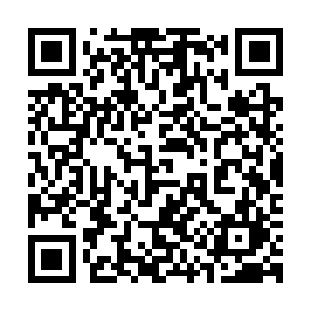 QR code for 313SRL