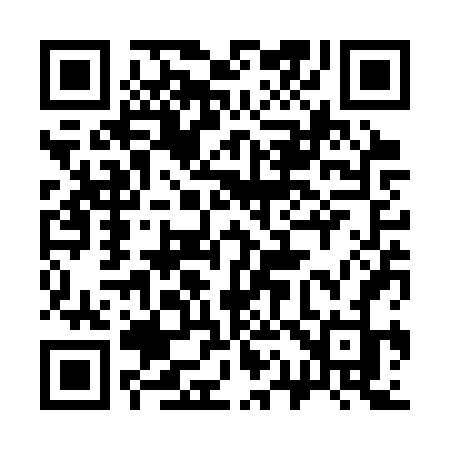 QR code for 313SVJ