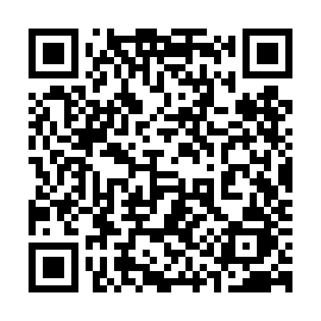 QR code for 313TJJ
