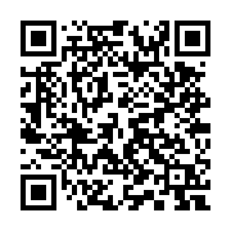 QR code for 313TQP